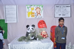 exhibition-11