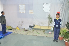 exhibition-14