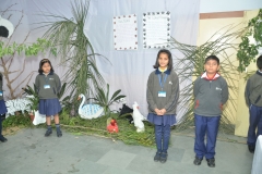exhibition-15