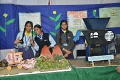 exhibition-18
